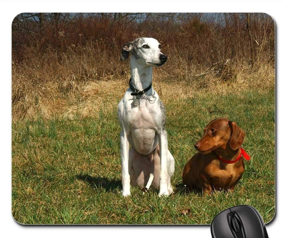 Premium Gaming Mouse Pad with Non-Slip Base - Cute Whippet Dachshund Dog Design for PC & Laptop Gamers - Perfect for Office, Home & Esports