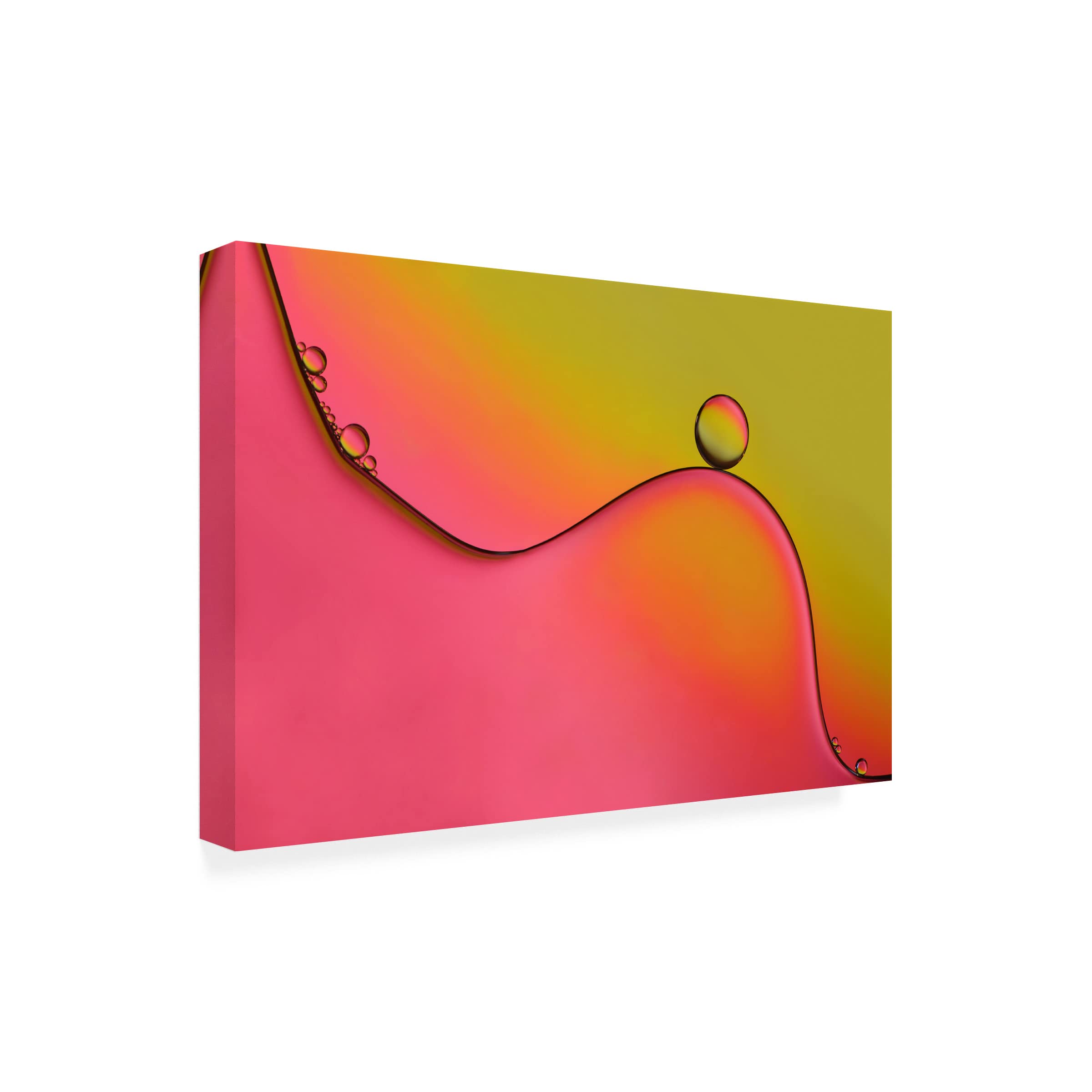 Heidi Westum 'During' Canvas Art Print - Modern Wall Decor for Living Room, Bedroom & Office - Trademark Fine Art Collection