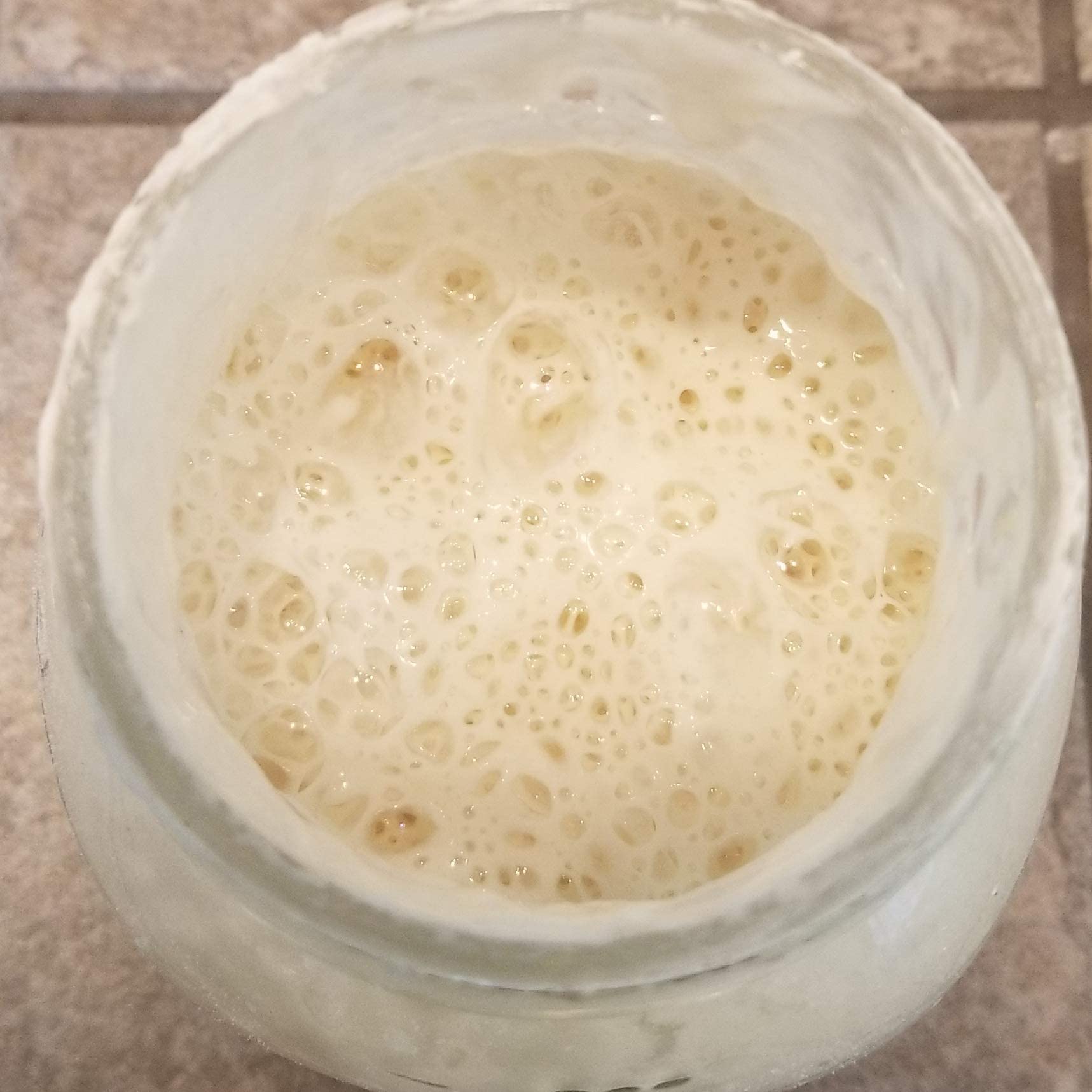Organic Wild Wheat Sourdough Starter - Dehydrated & Dried Sourdough Culture for Homemade Bread Baking | Artisan Sourdough Bread Starter Kit | Perfect for Beginners & Bakers | Use for Rustic Loaves, Pizza Dough & Pastries