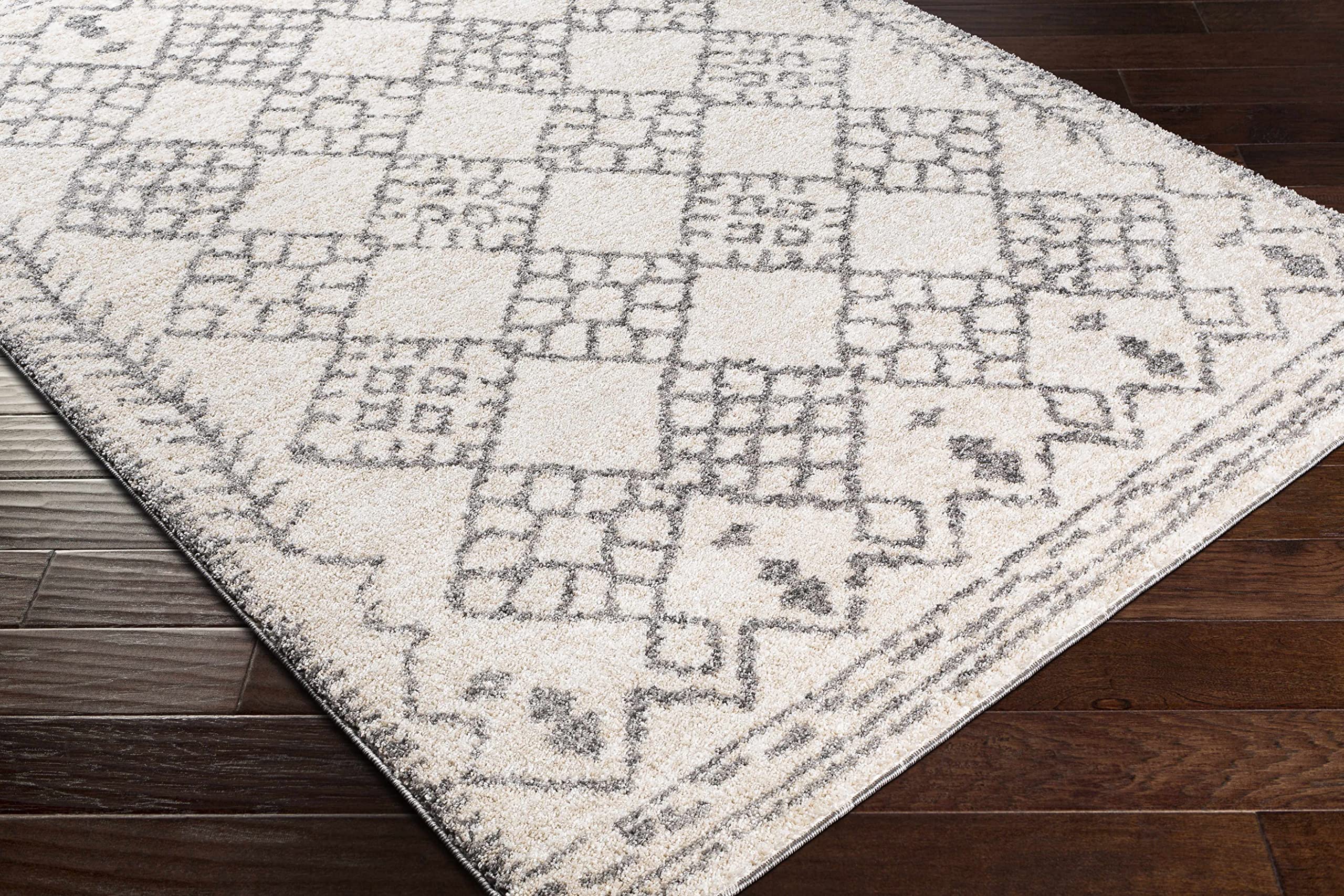 Luxury Hauteloom High Pile Area Rug for Living Room & Bedroom - Soft Gray & Beige 5'3