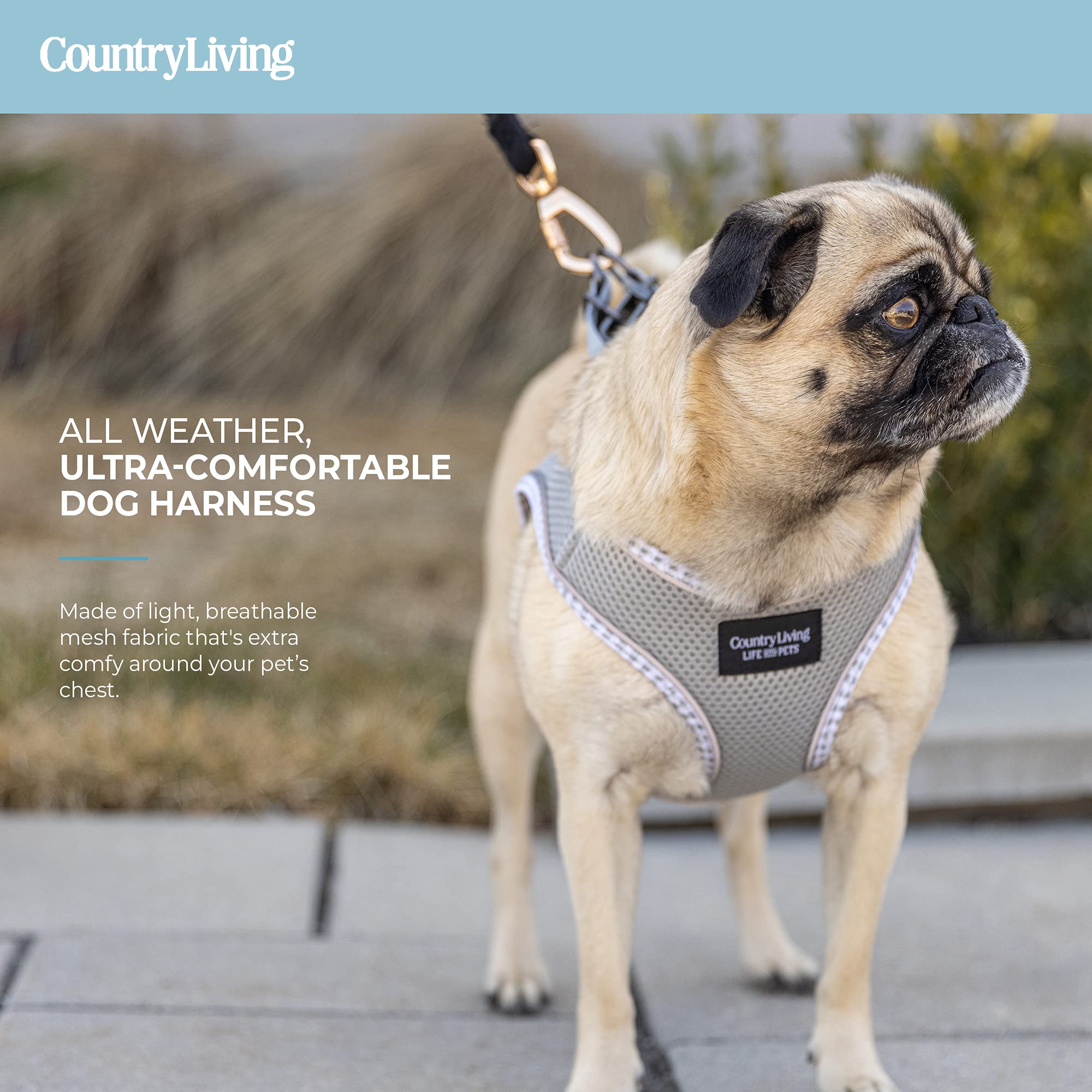 Silver Paw No Pull Dog Harness for Small to Large Dogs - Soft Padded Cooling Vest for Training, Walking & Running | Breathable & Adjustable Pet Accessories - Grey, XS | Perfect for Outdoor Adventures, Daily Walks & Hot Weather
