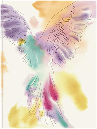 Paradise Parrot Soar