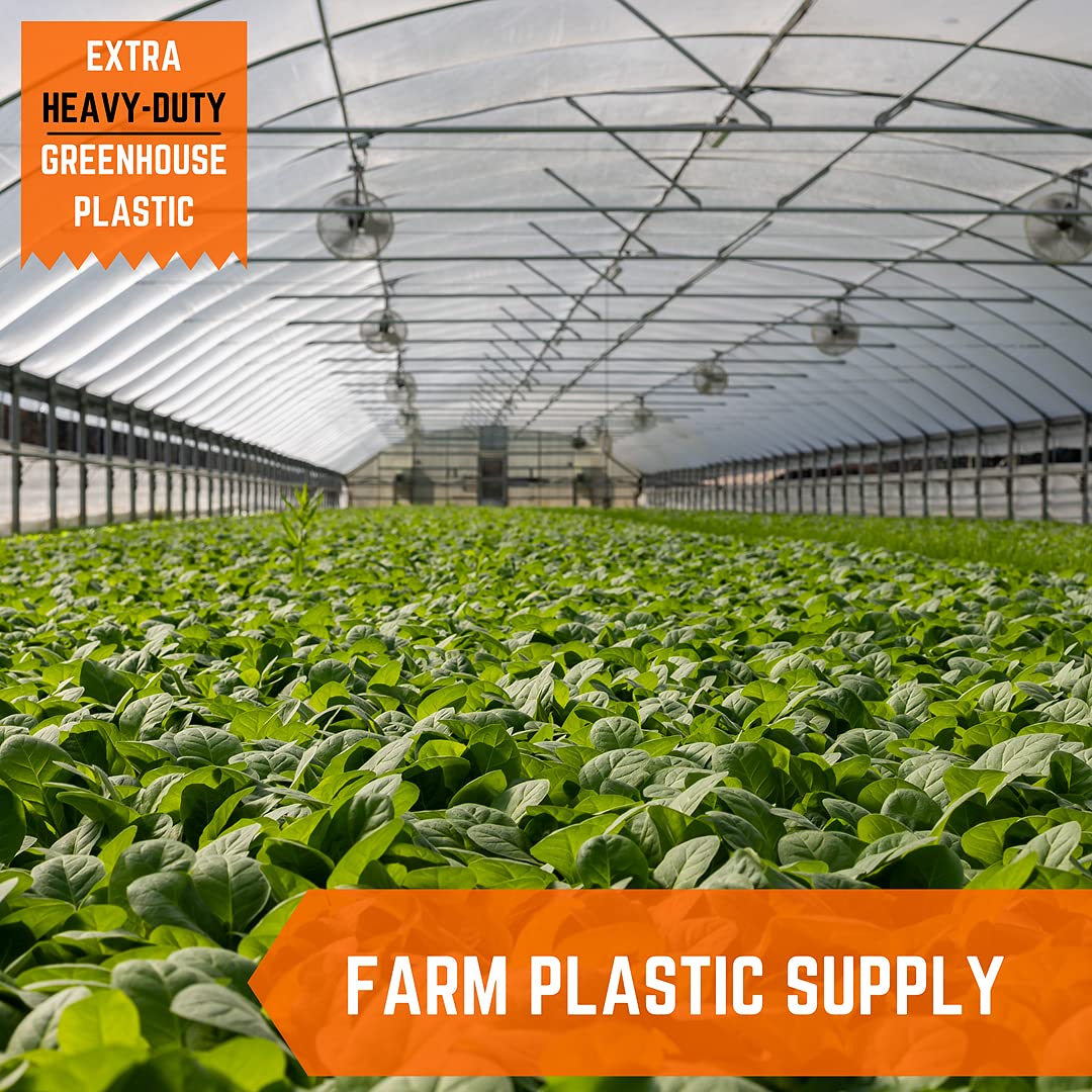 Premium Clear Greenhouse Plastic Sheeting 8 mil - 50' x 45' UV Resistant Polyethylene Film for Gardening, Farming & Agriculture - Ultra Durable 4-Year Protection - Ideal for Greenhouses, Plant Tunnels & Crop Protection