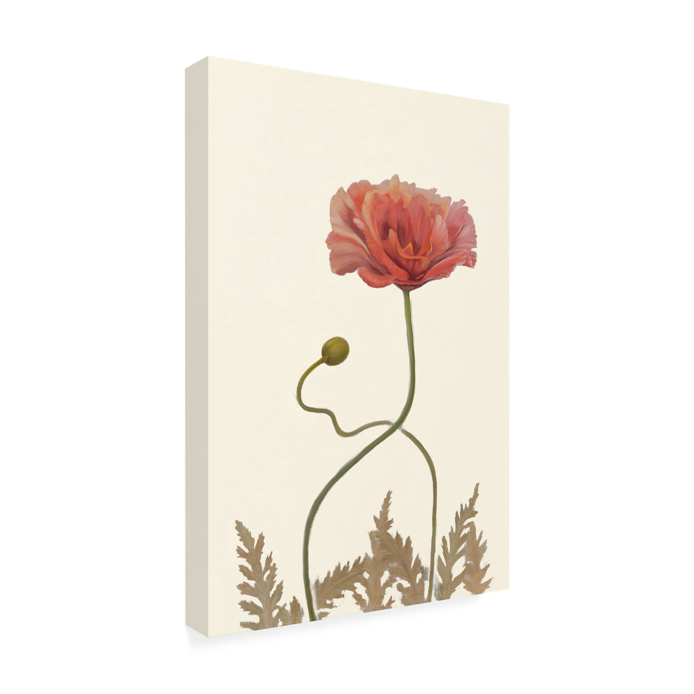 Sandra Iafrate 'Coral Poppy Display IV' Canvas Wall Art Print - Modern Floral Home Decor for Living Room, Bedroom & Office