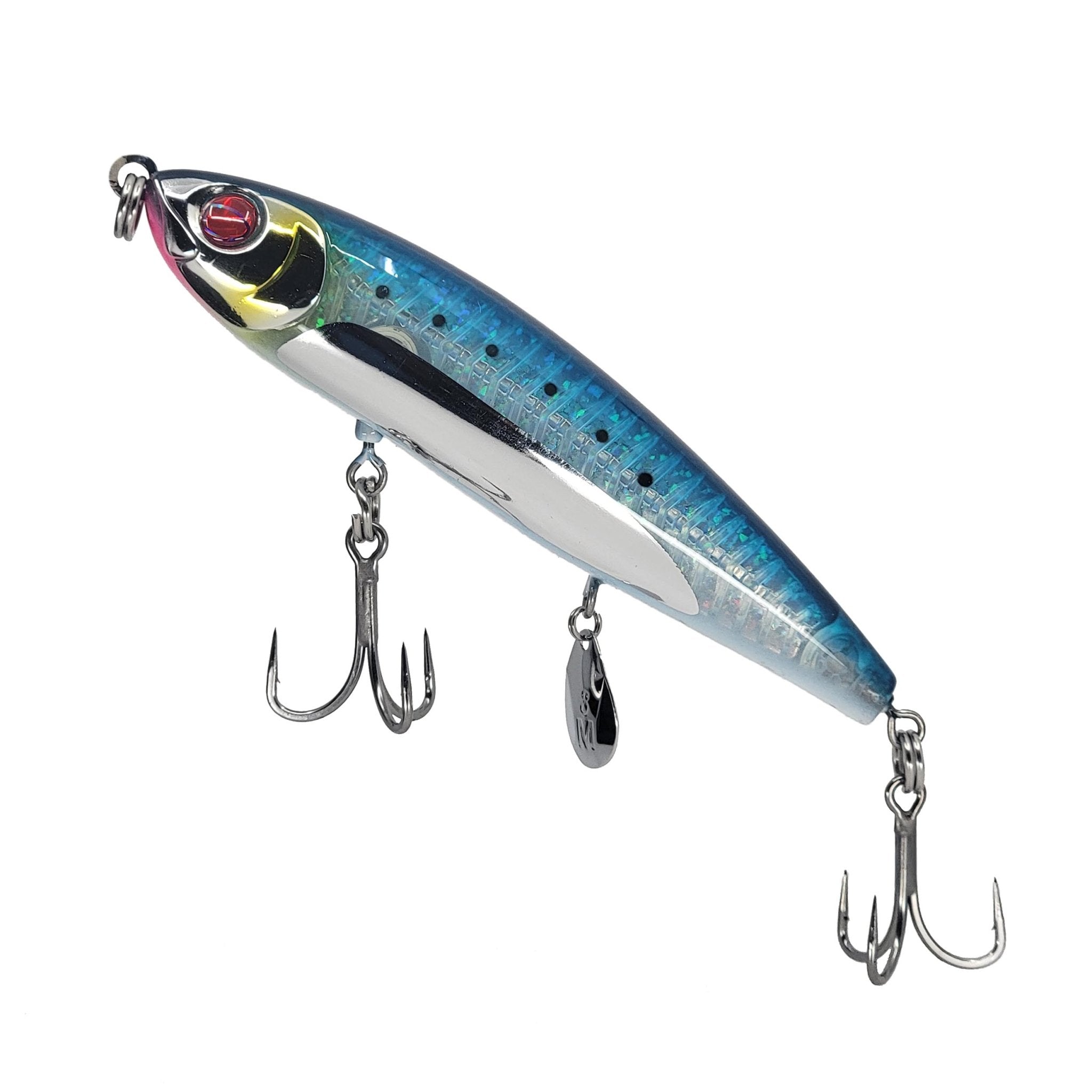 Sardine