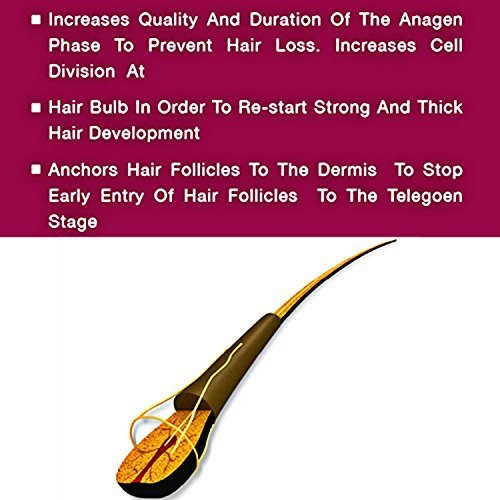 Nutrigrow Anti Hair Loss Shampoo for Faster Hair Growth - Volumizing & Strengthening Formula for Dry & Normal Hair - Perfect for Daily Use & Scalp Care