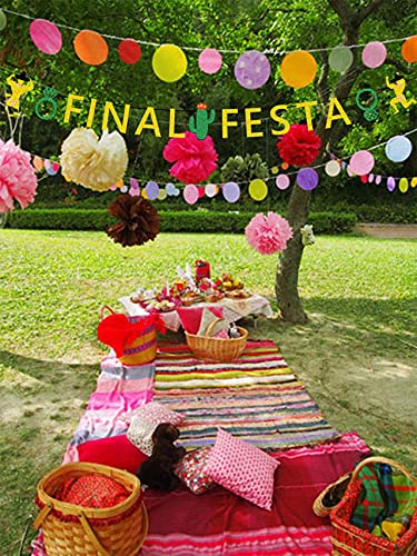 Final Fiesta Party Decorations - Mexican Fiesta Theme Party Supplies for Bachelorette, Wedding & Bridal Shower - Includes Banner & Cake Topper - Perfect for Last Fiesta Celebrations, Graduation Parties & Themed Events