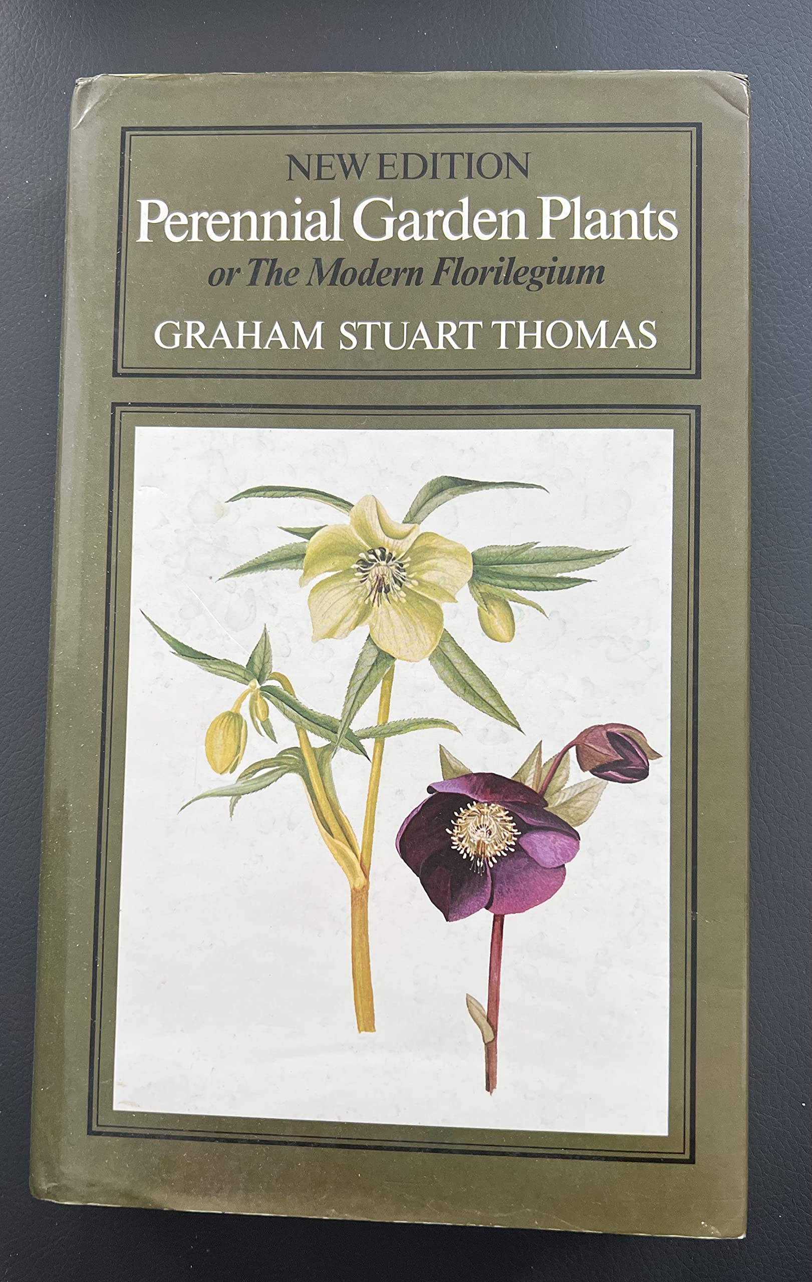 Perennial Garden Plants for Outdoor Landscaping - Modern Florilegium Guide to Herbaceous Plants & Bulbs - Perfect for Home Gardens, Flower Beds & Backyard Decor
