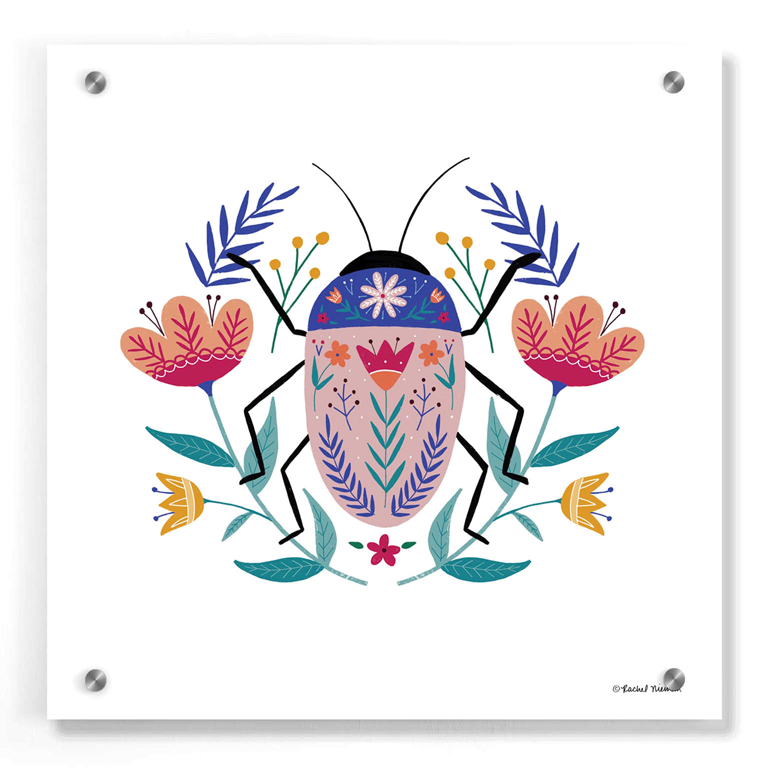 Folk Art Beetle Acrylic Glass Wall Art by Rachel Nieman - 36x36 Inches Modern Home Decor for Living Room, Bedroom & Office