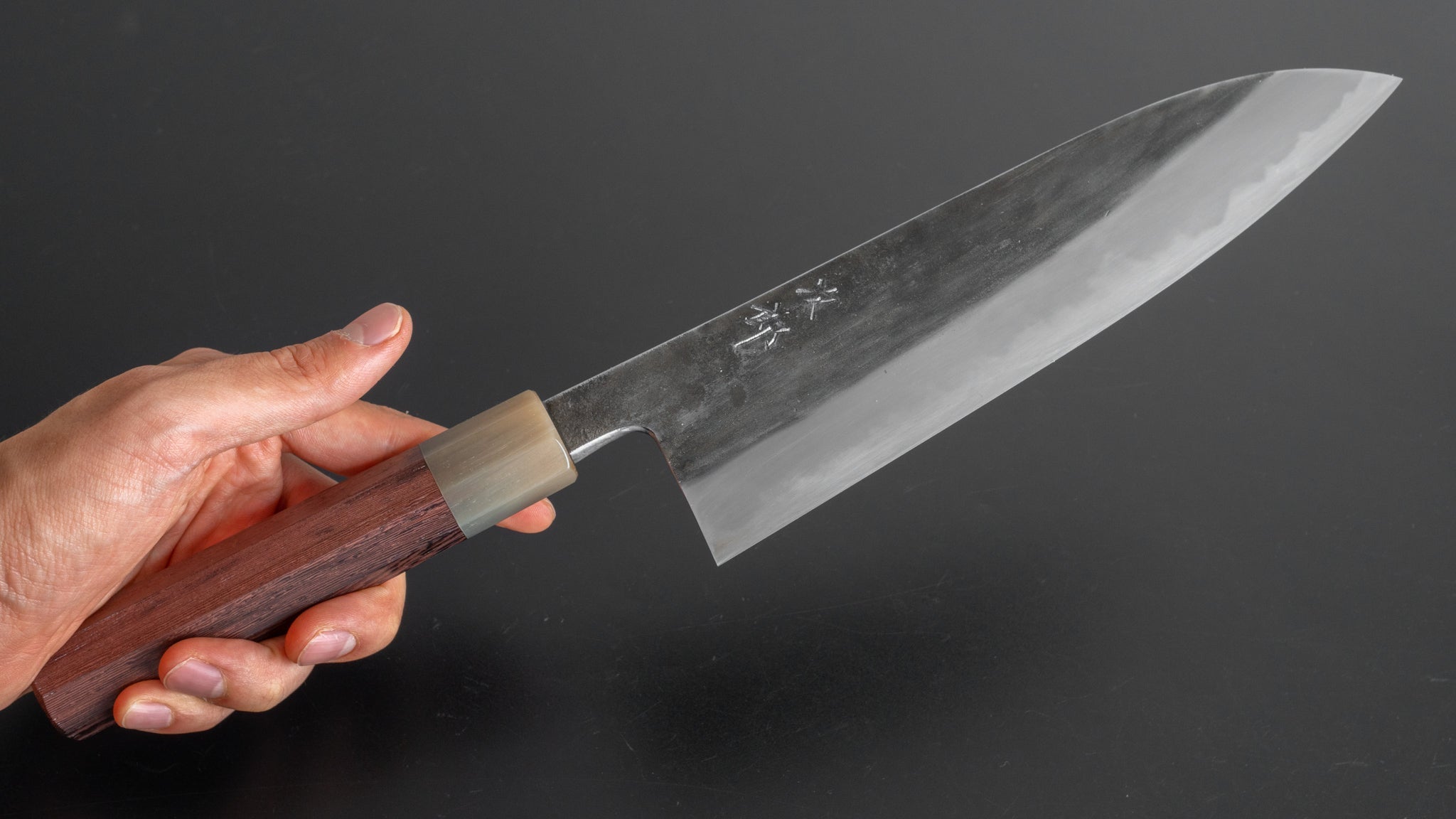 Jiro Tsuchime Wa Gyuto 210mm Japanese Chef Knife with Taihei Tagayasan Handle - Premium Kitchen Knife for Sushi, Meat Cutting & Professional Cooking