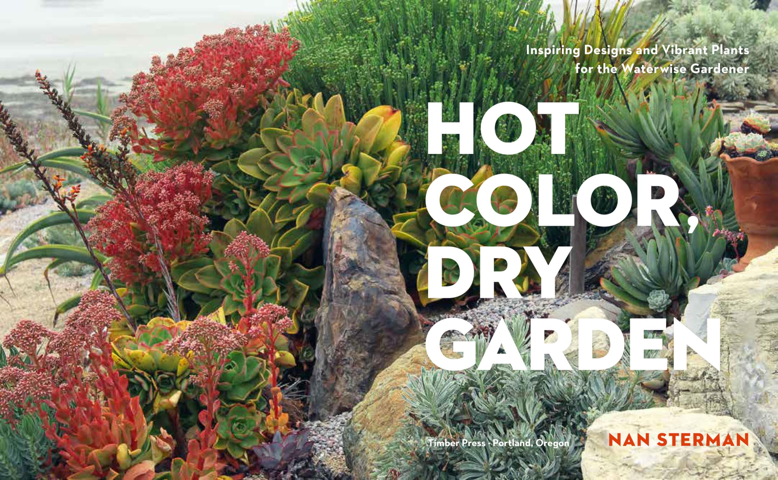 Vibrant Drought-Tolerant Plants & Stunning Dry Garden Designs - Waterwise Landscaping Ideas for Eco-Friendly Gardens | Perfect for Xeriscaping, Desert Gardens & Low-Maintenance Yards
