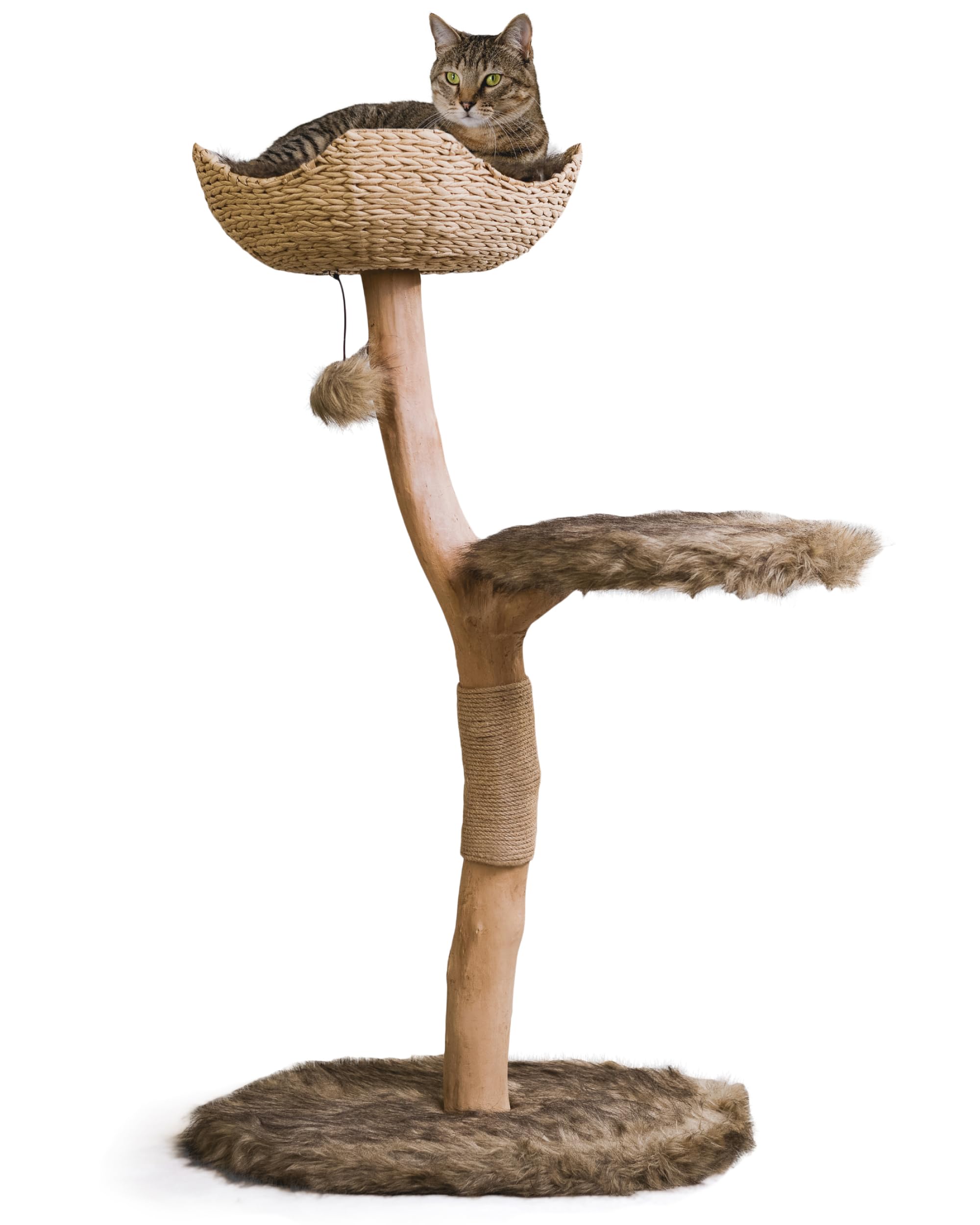 Modern Wooden Cat Tree Tower - Single Branch Cat Condo & Climbing Furniture for Indoor Cats - Perfect Cat Lover Gift by MAU LIFESTYLE (Brown) - Ideal for Small Spaces & Playful Kittens
