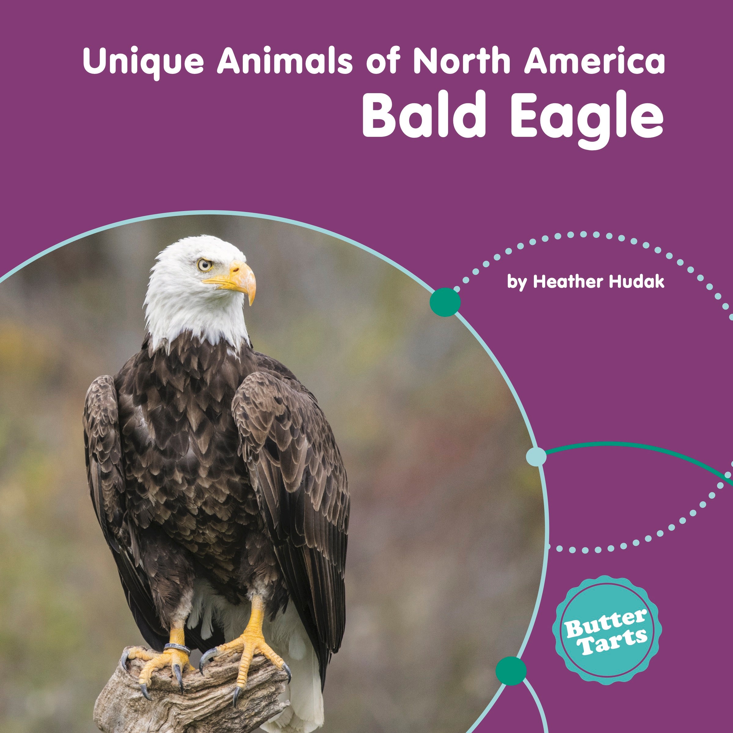 Bald Eagle Book 9781774564868 - American Wildlife Guide & Nature Photography - Perfect for Bird Watching, Educational Gifts & Outdoor Enthusiasts