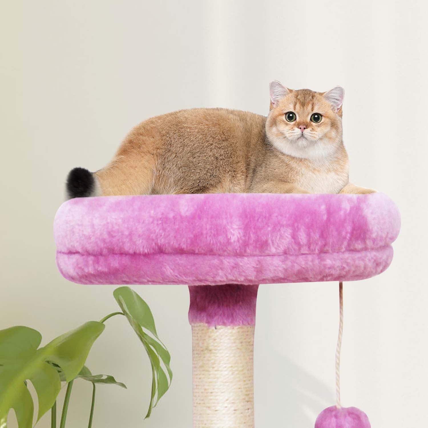 Premium Pink Cat Tree Tower for Indoor Cats - Multi-Level Cat Condo with Scratching Posts, Dangling Toys & Plush Perches - Perfect for Large, Medium & Small Cats - Ideal for Play, Exercise & Relaxation in Home, Apartment or Office