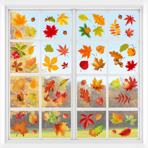 Maple Leaf B
