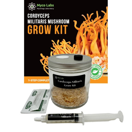 Premium Midwest Grow Kits - Cordyceps Militaris Mushroom Growing Kit (16oz Jar) for Home Cultivation - Perfect for Health Enthusiasts & Organic Gardening