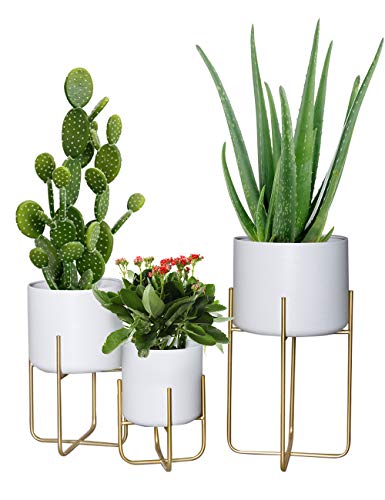 White Pots Pack of 3