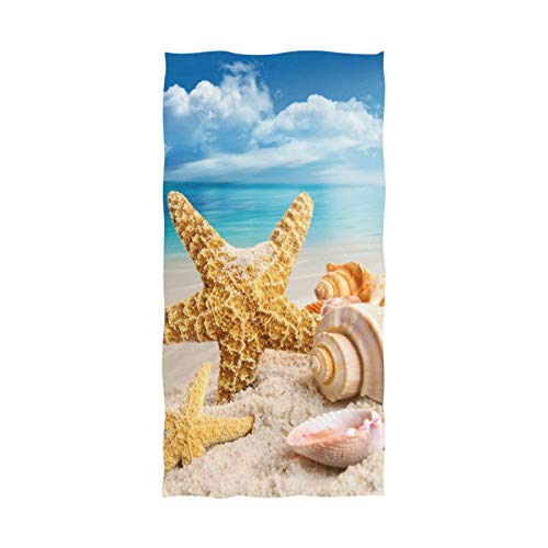 Seashells