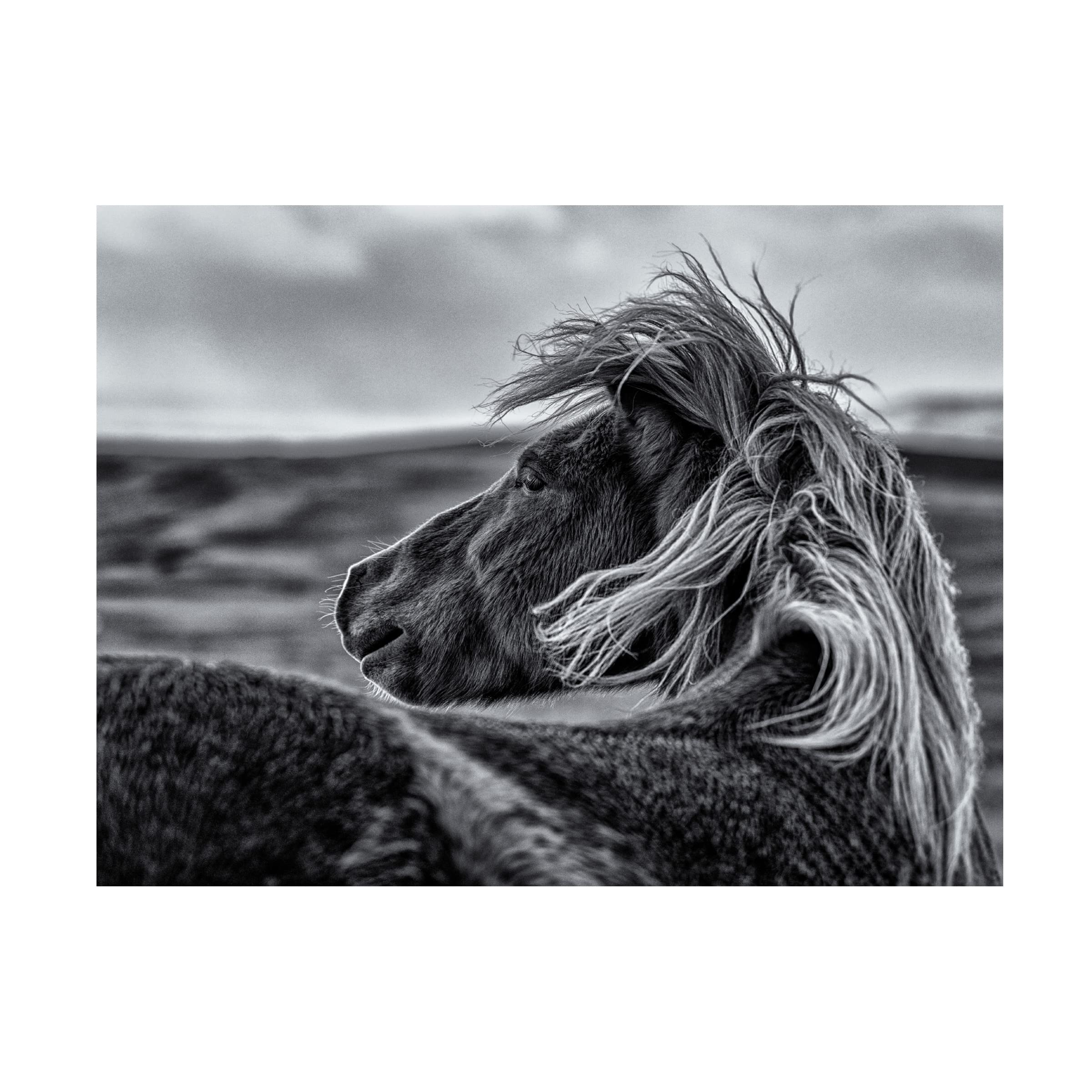 Trademark Fine Art 'Glance Back' Canvas Wall Art by Sunny Ding - Modern Home Decor for Living Room, Bedroom & Office