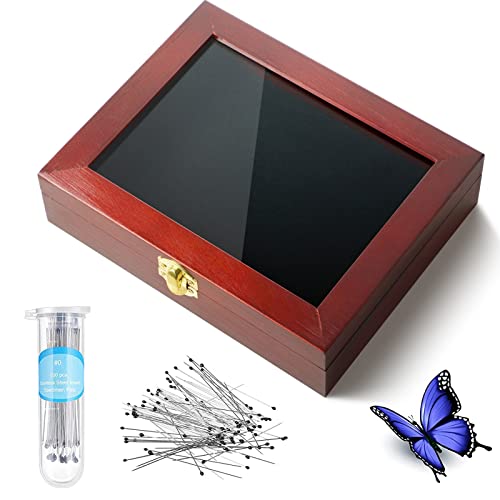 Premium Insect Display Case with Clear Top - EVA Foam Pinning Board & 100 Stainless Steel Pins - Entomology Shadow Box Kit for Butterfly, Beetle & Insect Specimen Collection (Burgundy) - Perfect for Science Classrooms, Nature Museums & Home Decor