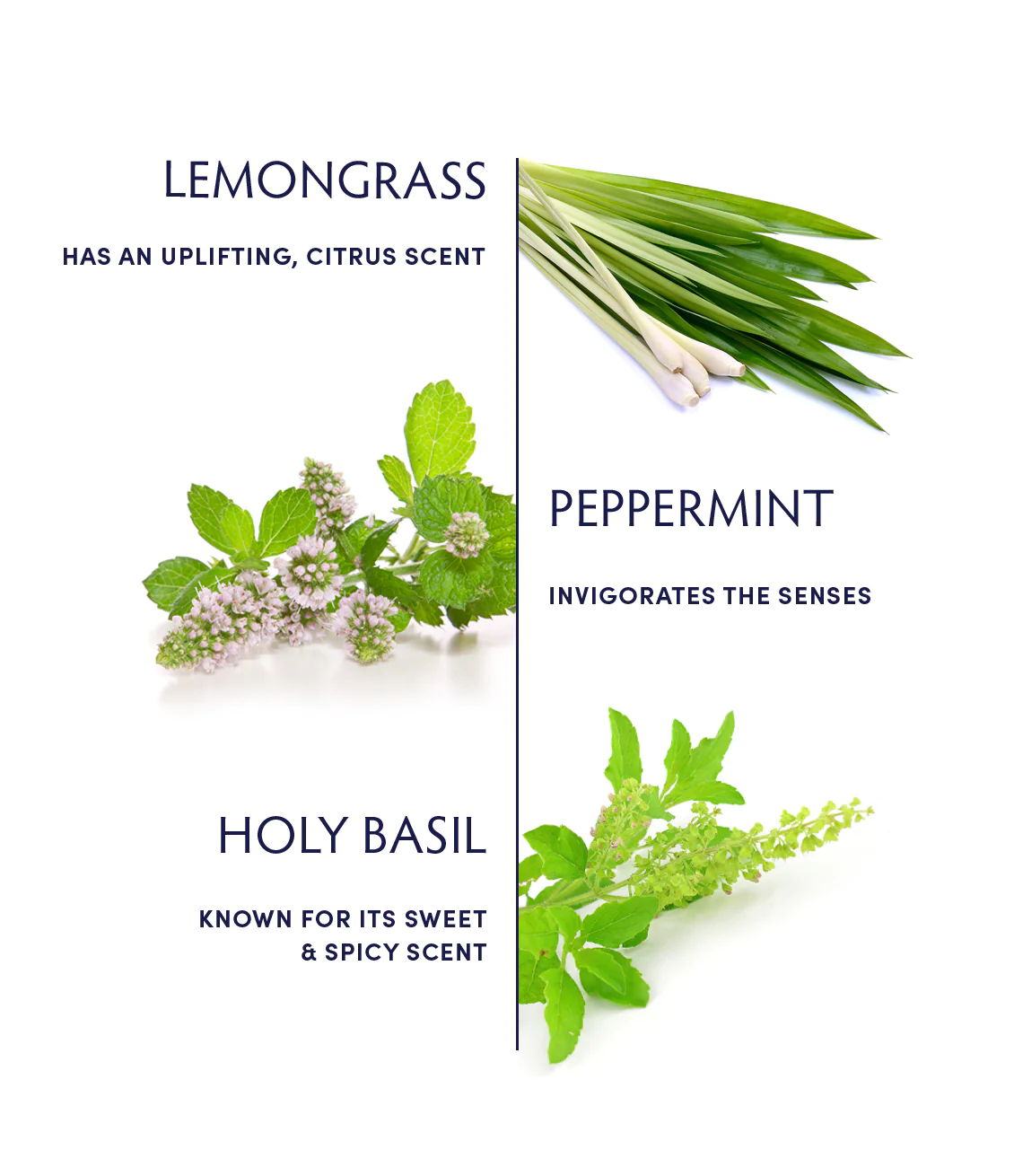 Naturopathica Re Boot Aromatic Alchemy Essential Oil Blend - Stress Relief & Energy Boost for Home, Office & Yoga Practice