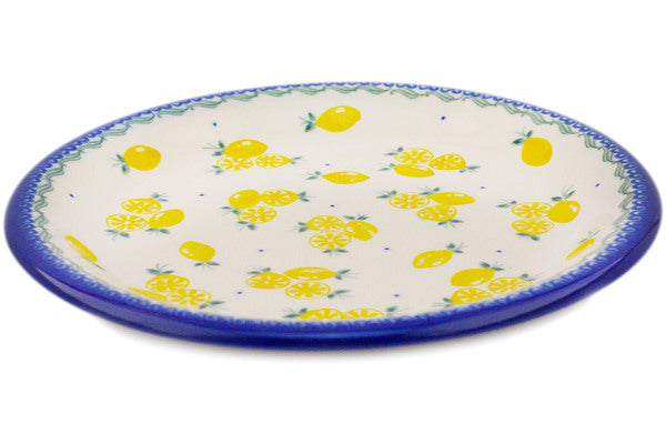 10-Piece Dinner Plate Set - D457 - Elegant Porcelain Plates for Dining, Entertaining & Everyday Use