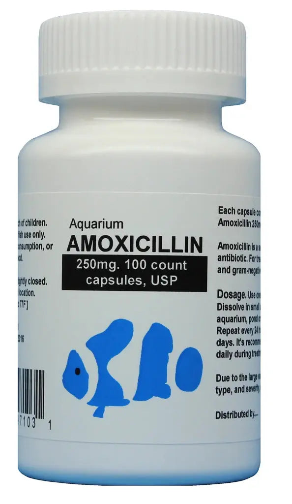 Fish Aid Amoxicillin Antibiotics 250mg - 100 Capsules for Aquarium Fish Treatment | Bacterial Infection Remedy for Tropical & Goldfish | Pond & Tank Water Care Solution