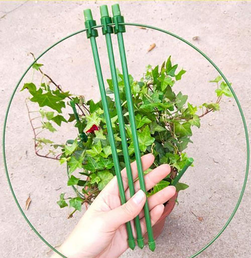 **5 Pack Dark Green Adjustable Plant Support Cages for Climbing Vines, Amaryllis, Orchids, Lily, Roses & Tomatoes - Sturdy Garden Trellis Rings for Indoor & Outdoor Plants**