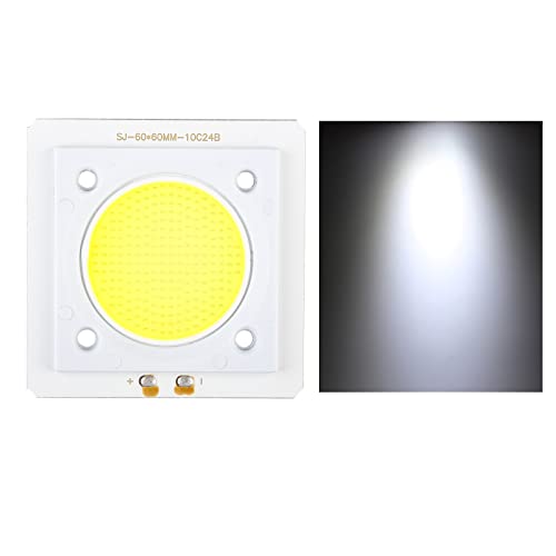 Cob 100w Cold White