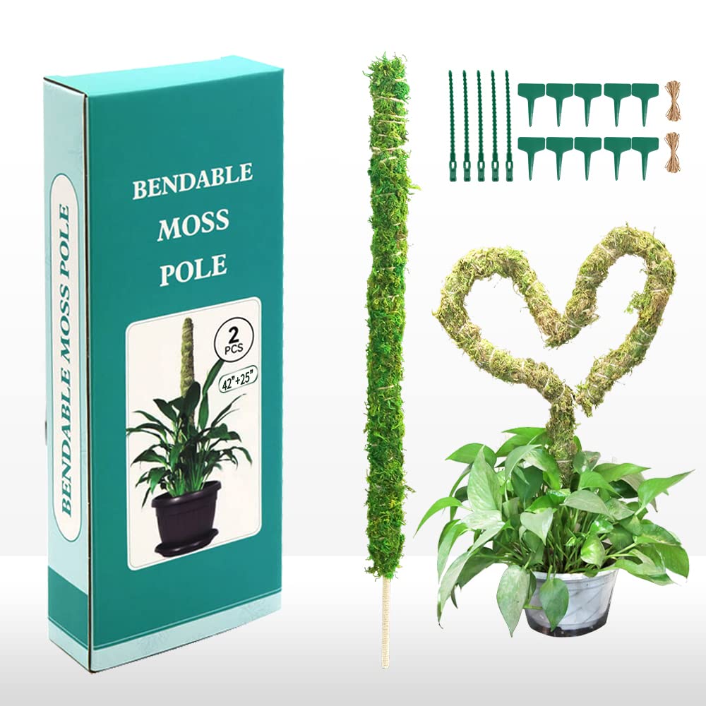 MULTIONS 42 & 25 Inch Bendable Moss Pole for Monstera & Climbing Plants - DIY Plant Support Stake with Bracket for Indoor Potting & Modeling - Perfect for Pothos, Philodendron & Medium/Large Houseplants (42
