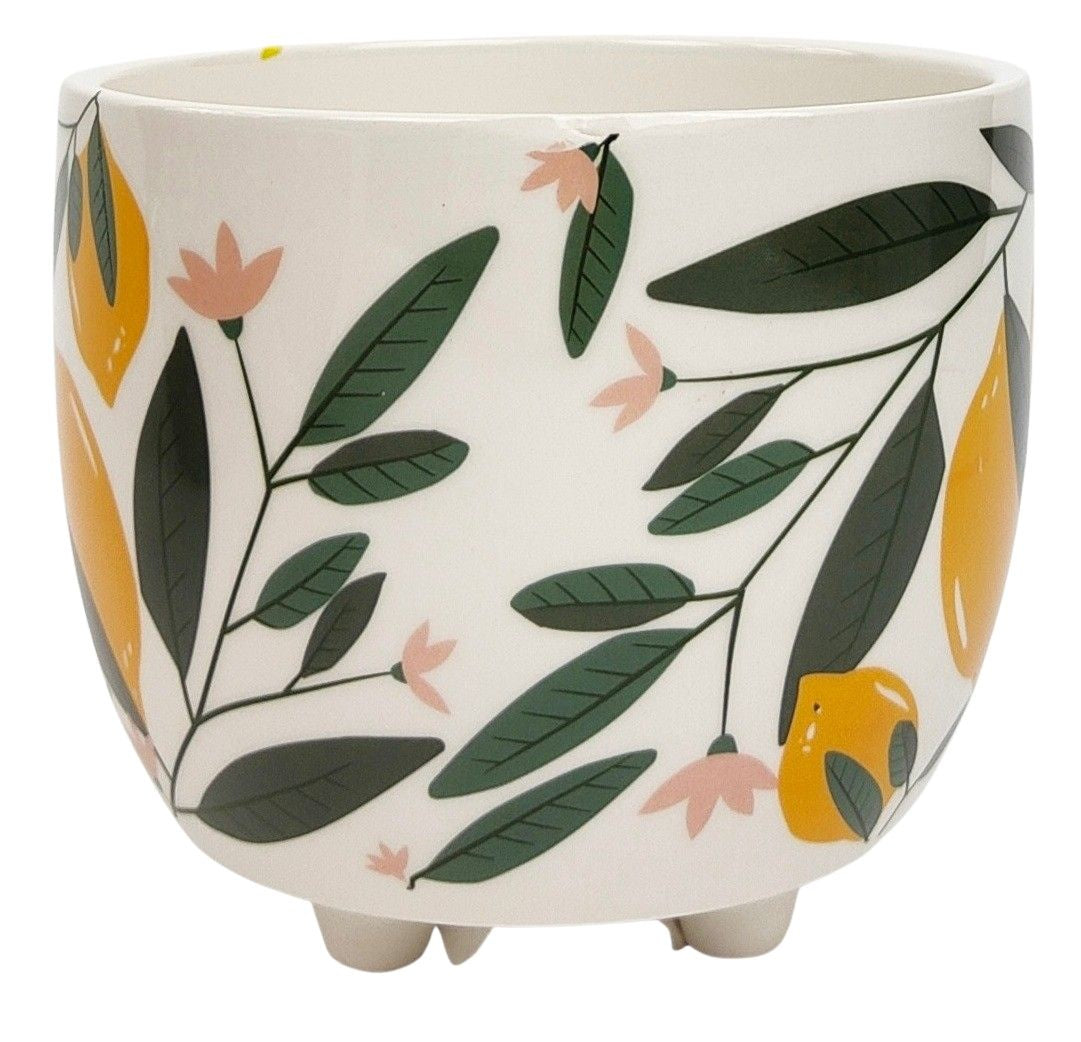 Evergreen Planter Pot - Yellow & Green Ceramic Flower Pot for Indoor Plants, Succulents & Home Decor | Perfect for Living Room, Office & Garden