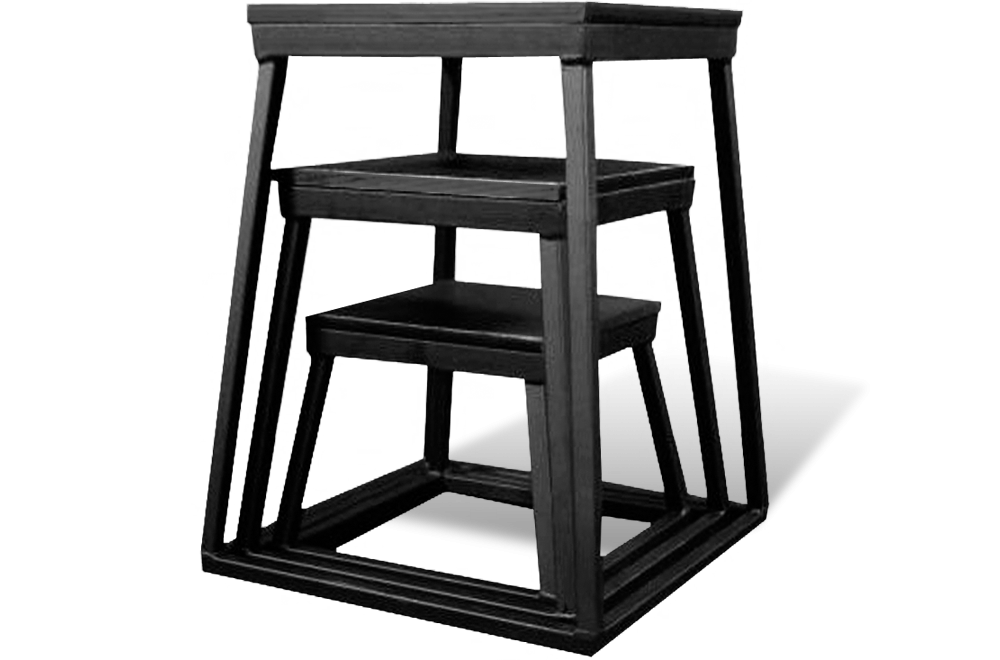 Vo3 Plyo Box Set (30