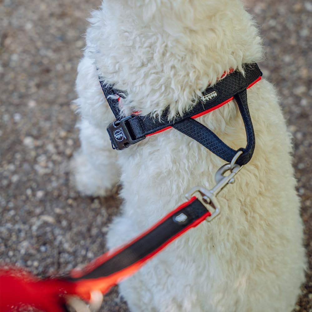 Preno Mesh Training Leash for Dogs - 200 cm (6.5 ft) Long, 25-35 mm Wide, Durable & Comfortable Pink Dog Leash - Perfect for Walking, Running, and Outdoor Training with Your Pet
