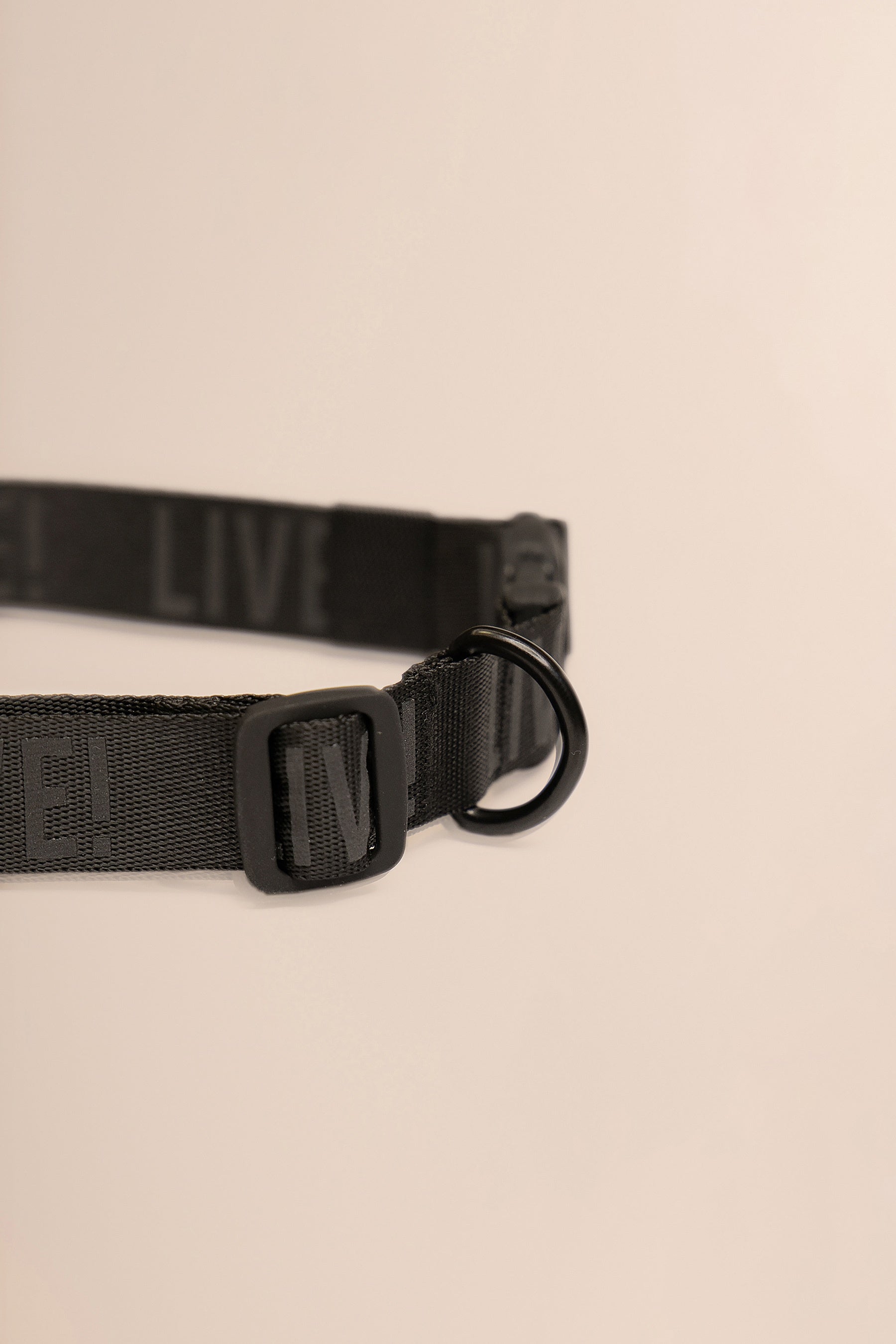 Reflex Live! Smart GPS Pet Collar for Dogs & Cats - Real-Time Tracking & Activity Monitoring - Perfect for Outdoor Adventures & Daily Walks