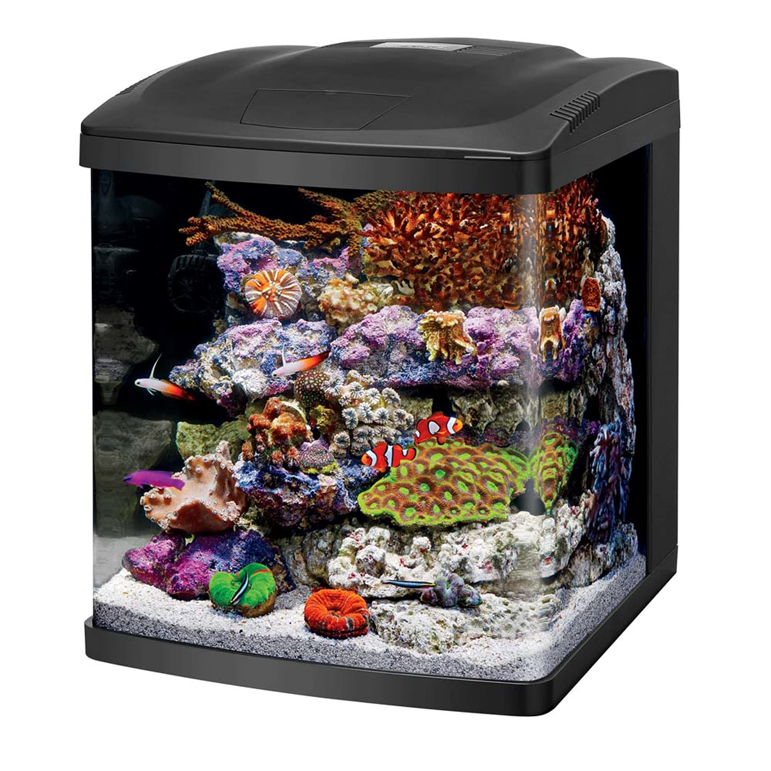 Coralife LED BioCube 16 Gallon Aquarium Fish Tank Kit - Complete All-in-One Saltwater & Freshwater Tank for Home, Office, or Classroom Use
