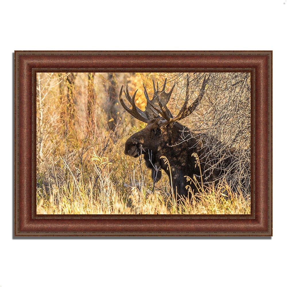 Black Antler Moose Framed Wall Art - Premium Wildlife Photography Print Ready to Hang - Perfect for Living Room, Office or Cabin Decor