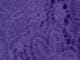 Dark Violet