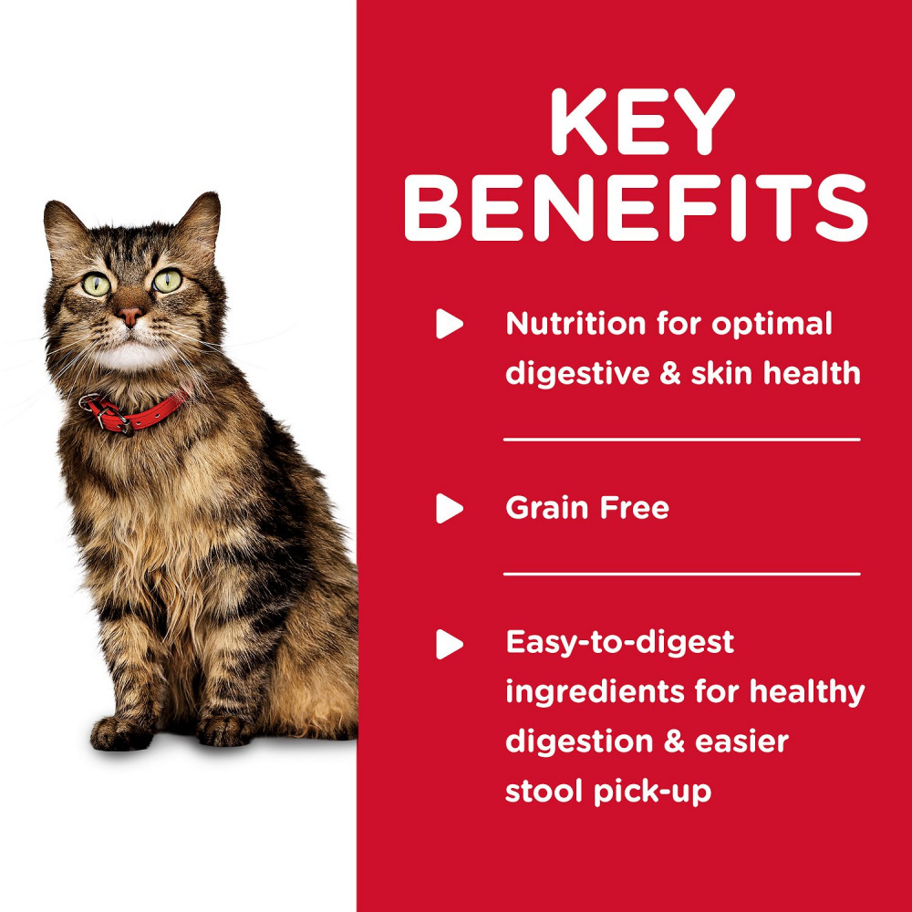 Hill's Science Diet Adult Sensitive Stomach & Skin Cat Food - Chicken & Vegetable Entree Canned Wet Food for Digestive Health & Skin Care - Perfect for Indoor Cats with Food Sensitivities