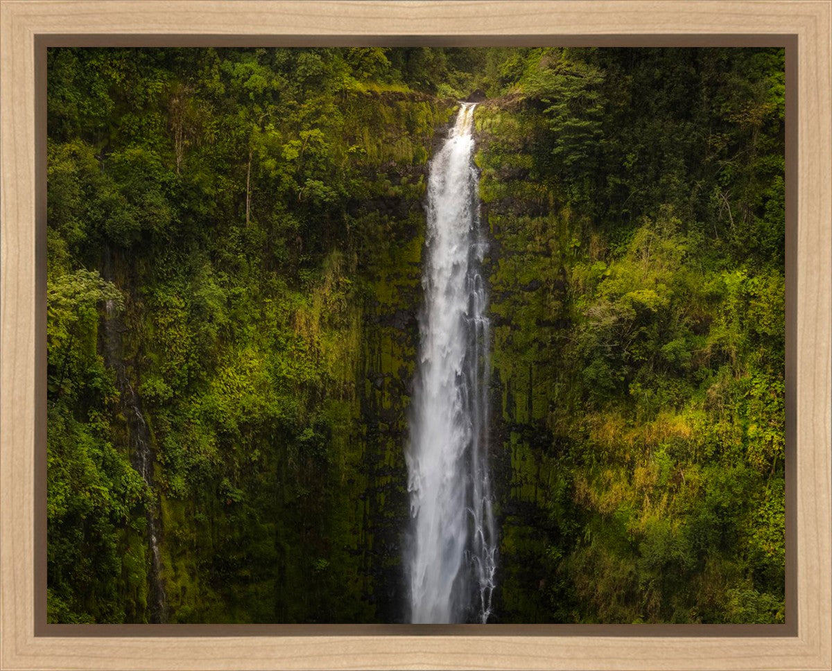 Stunning Akaka Falls Hawaii Landscape Canvas Print - Premium Gallery Wrap Wall Art for Home & Office Decor - Perfect for Living Room, Bedroom, or Office Spaces