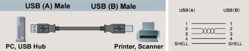 High-Speed USB 2.0 Printer Cable for PC - 6ft Data Sync Cord for HP, Canon, Epson Printers | Perfect for Home Office Printing & Document Scanning