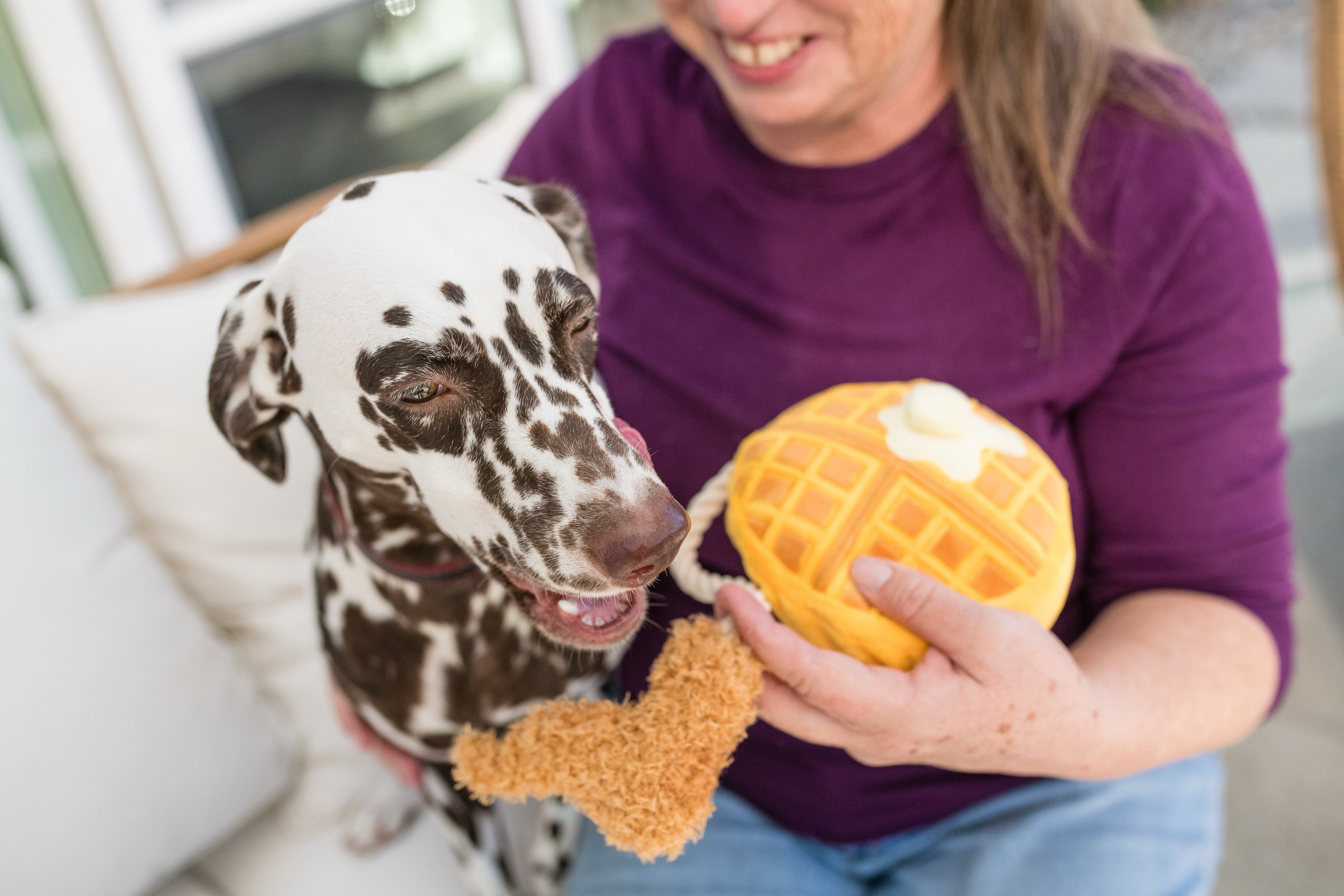 El Pollo y Waffle Plush Dog Toy - Barking Brunch™ Chew Toy for Dogs by Pet P.L.A.Y. | Soft & Durable Puppy Plaything for Fetch, Cuddling & Teething Relief