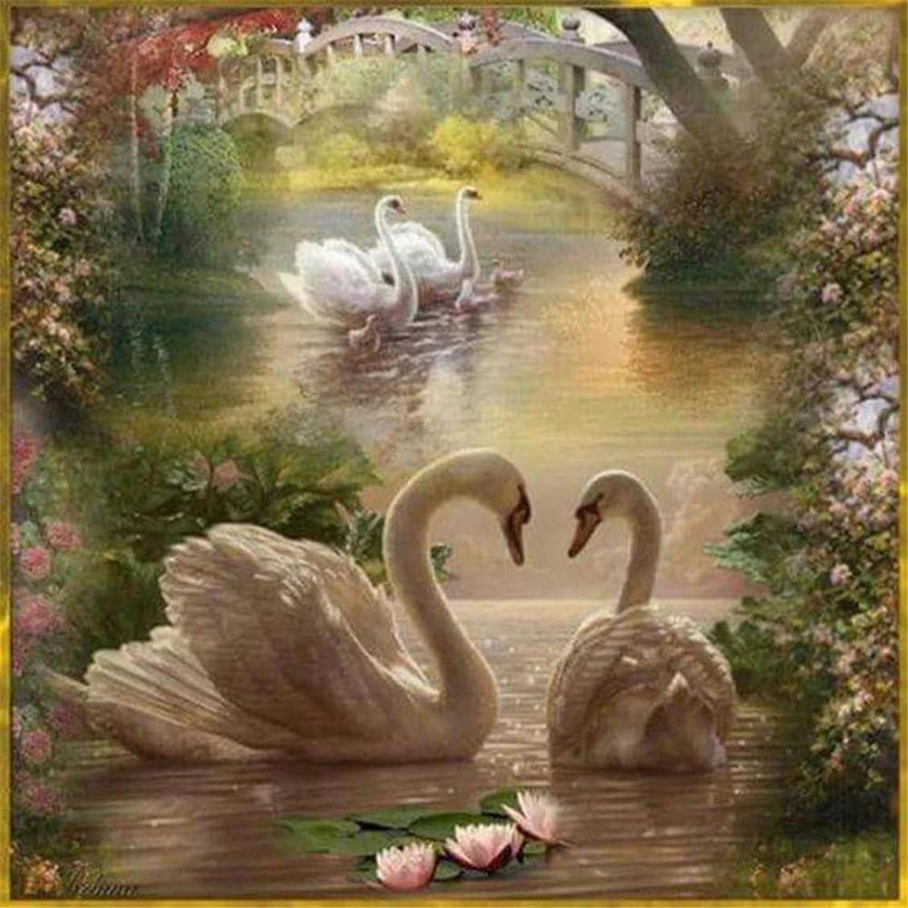 1000 Piece Swan in The Water Jigsaw Puzzle for Adults & Teens - 75.5x50.5cm Large Floor Puzzle - Relaxing Brain Game, Stress Relief Activity, Perfect Gift for Puzzle Lovers (Home Decor, Family Game Night, Classroom Activity)