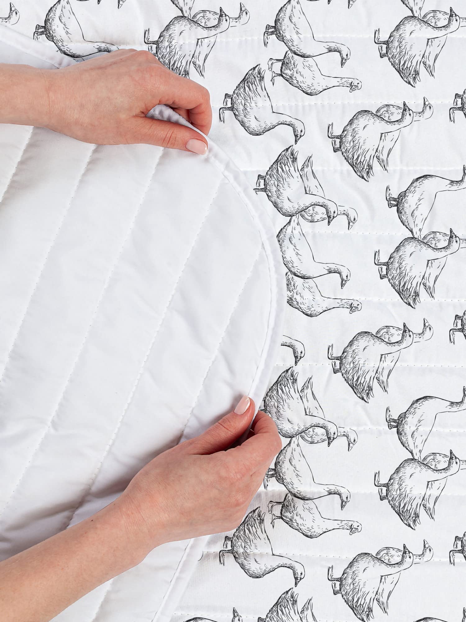 Ambesonne Goose Microfiber Bedspread Set - Monochrome Hand-Drawn Bird Design on Plain Background | Soft Queen Size Bedding with Pillow Shams & Comforter in Charcoal Grey & White | Perfect for Modern Bedrooms, Guest Rooms & Cozy Home Decor