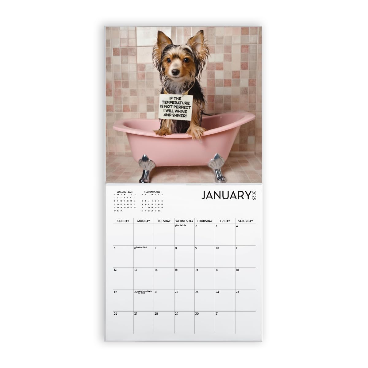 2025 Dog Shaming Calendar - Funny Wall Calendar for Dog Lovers | Perfect Gift for Pet Owners, Home & Office Decor