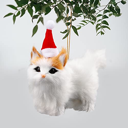 Cat W/ Hat