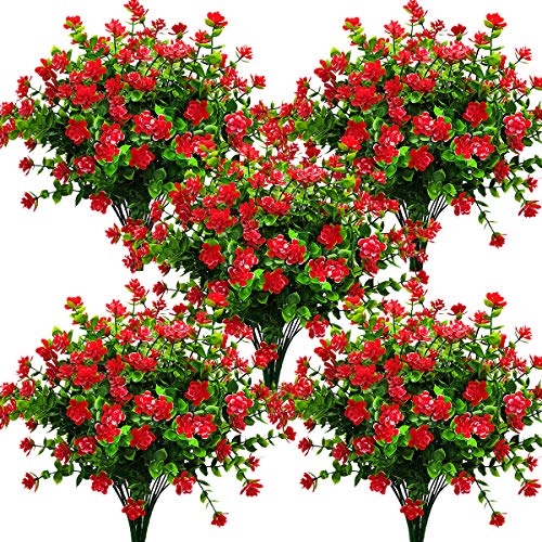 Red-eucalyptus