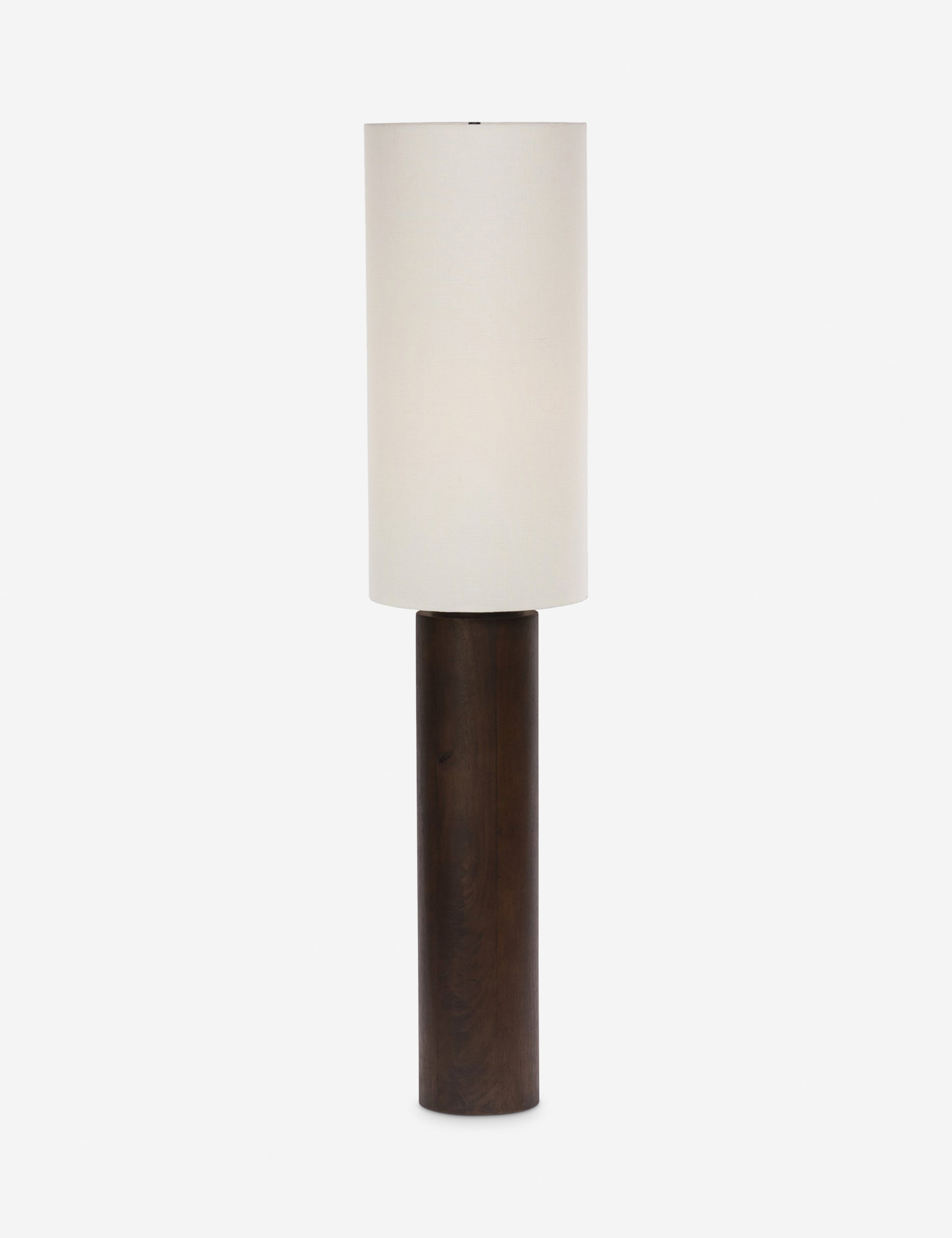 Modern Denning Floor Lamp with Adjustable Height - Bright LED Standing Light for Living Room, Bedroom, or Office - Warm White & Cool White Light Options - Perfect for Reading, Working, or Ambient Lighting