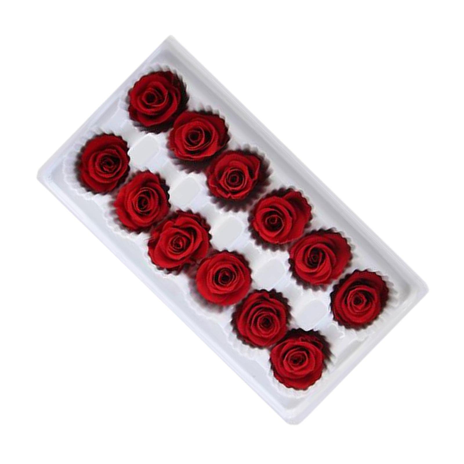 Eternal Mini Roses DIY Kit for Photo Frames, Car Pendants, Bracelets - Perfect for Home Decor, Wedding Favors, and Gift Making