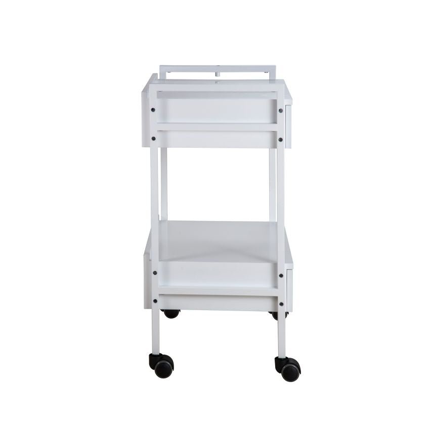 Silverfox Beauty Trolley 1019 - Professional Rolling Makeup Case with Adjustable Shelves & Locking Wheels | Perfect for Salon, Bridal, Travel & Mobile Makeup Artists