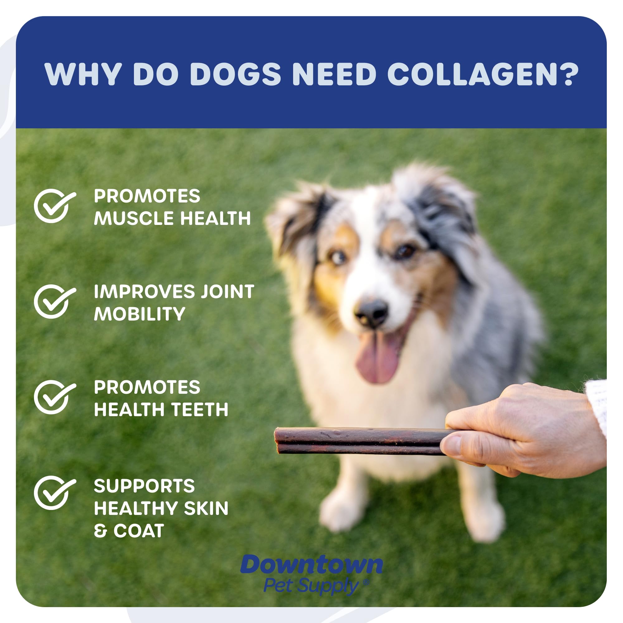 Premium 10-Pack Beef Collagen Sticks for Dogs - 6